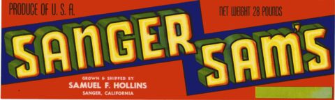 Sanger Sam s